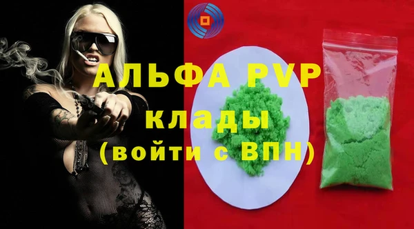 индика Касимов