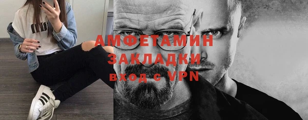 индика Чегем