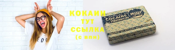 индика Чегем